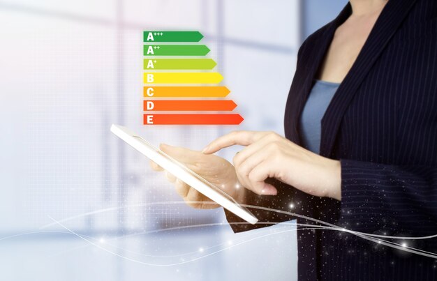 LA DIAGNOSI ENERGETICA PER LE AZIENDE