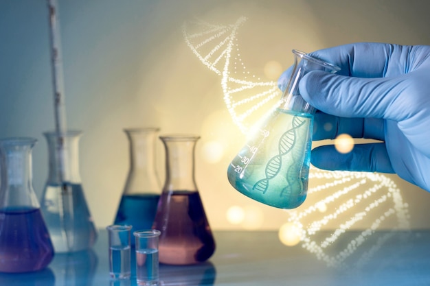 INTERVENTI DELL'EUROPEAN CHEMICALS AGENCY