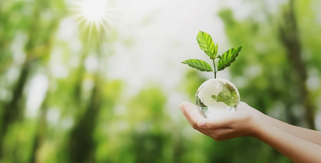 BRAND POSITIONING E AGROALIMENTARE
