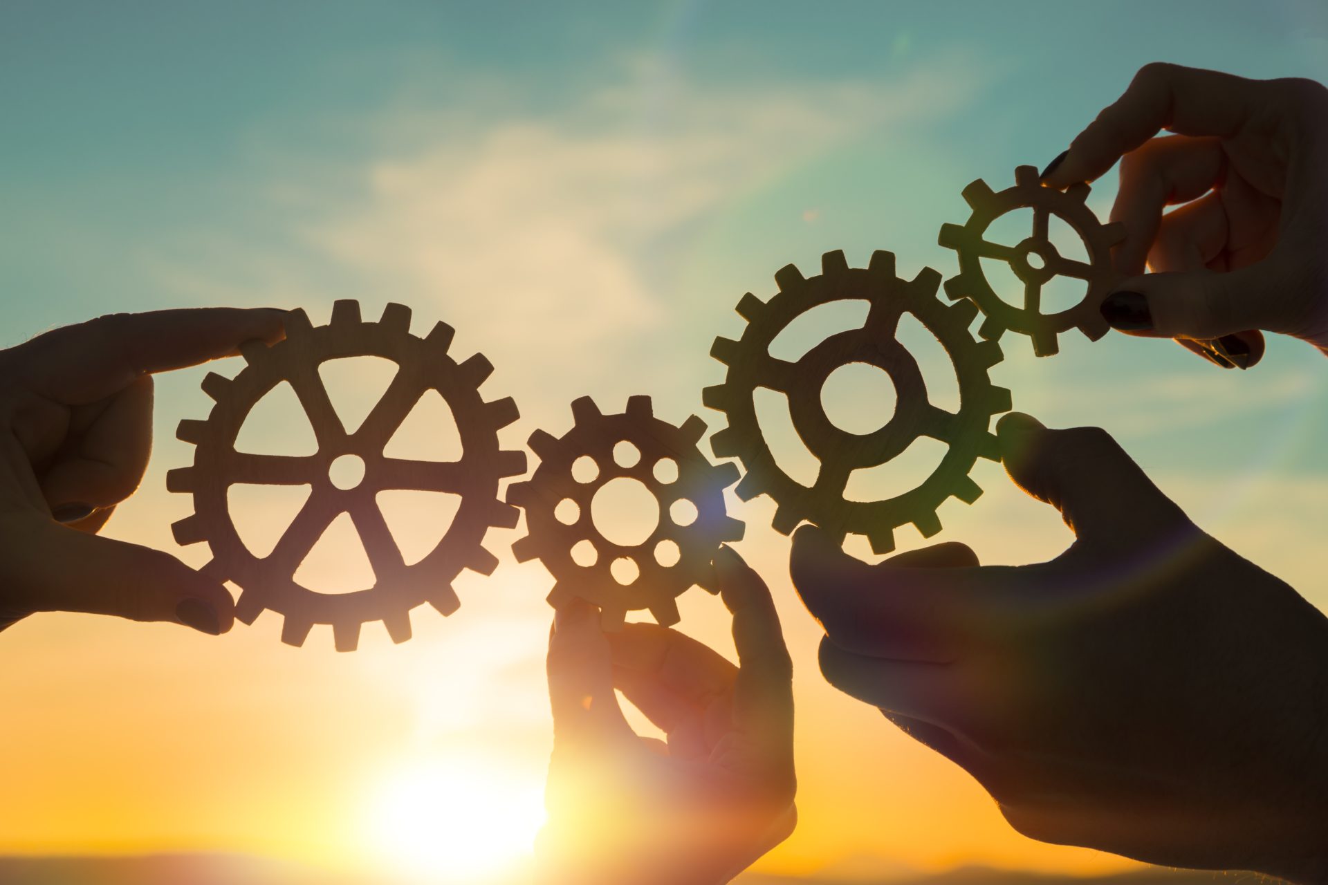 INTRODUZIONE AGLI ECOSISTEMI INDUSTRIALI