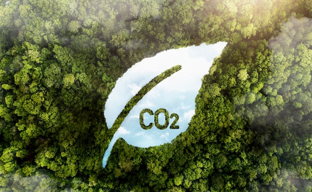 IL PERCORSO VERSO UN'ECONOMIA A BASSE EMISSIONI DI CARBONIO